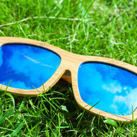 Blue Jungle sunglasses