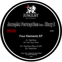 Junglist Records Joseph's Perception feat Bizzy B - 12" Vinyl